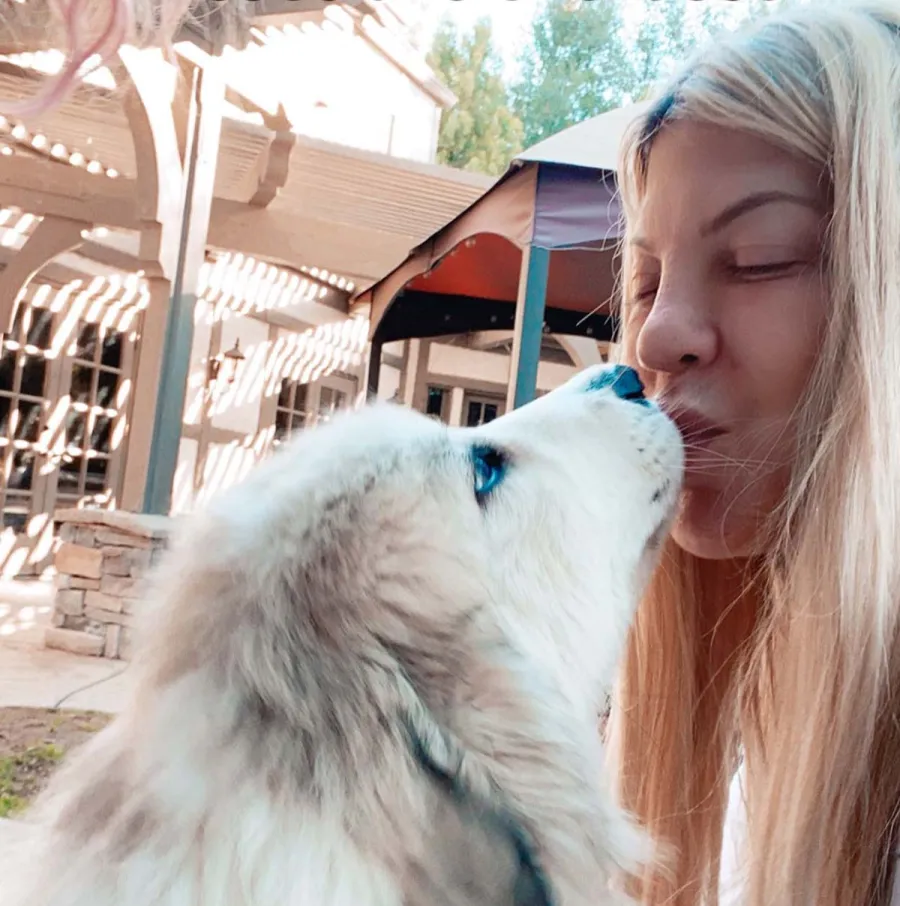 Is He Kim Tori Spellings Bearded Dragon Has Favorite Kardashian