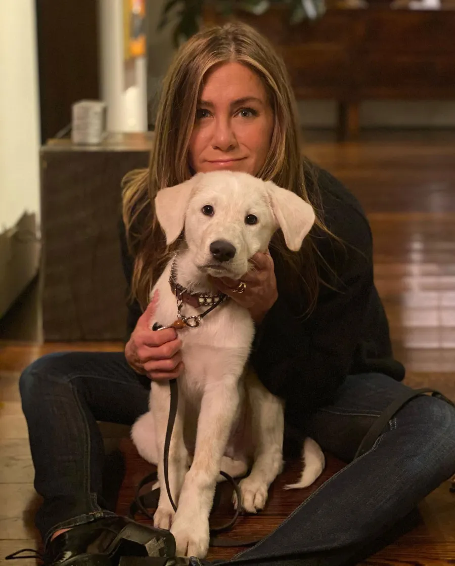 Celebrity Pets That Are Named After Other Stars