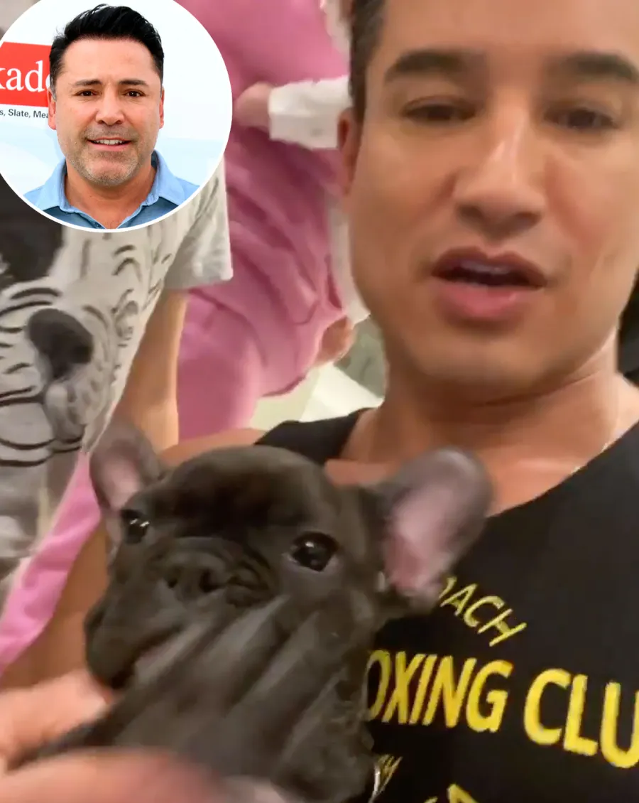 Celebrity Pets That Are Named After Other Stars