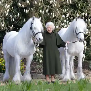 Queen Elizabeth II Horses Pony Birthday
