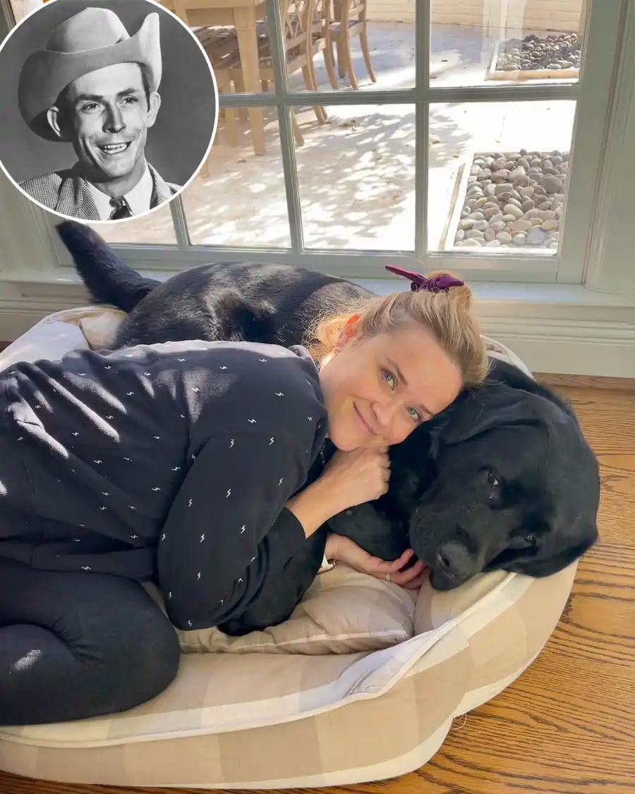 Celebrity Pets That Are Named After Other Stars