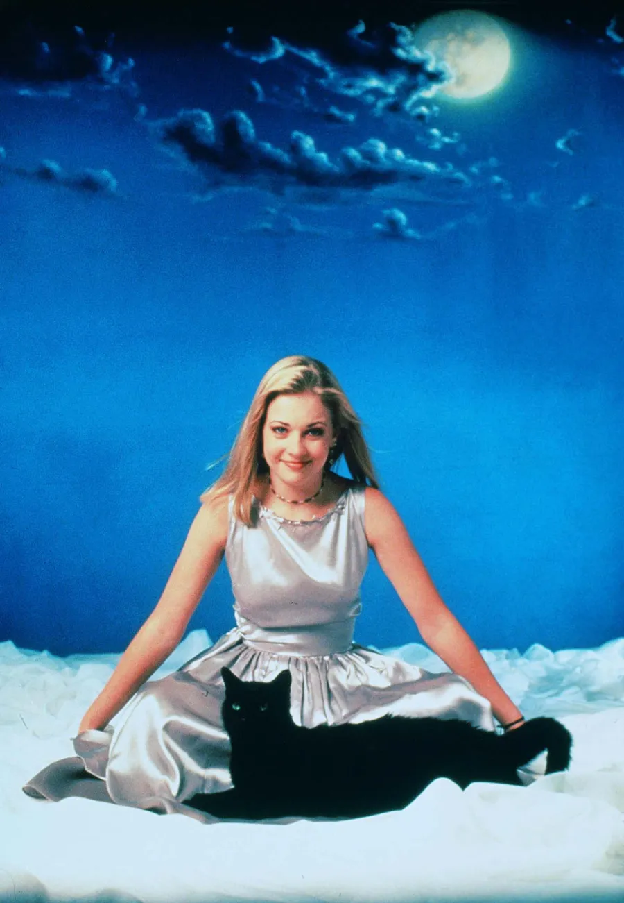 Who Is Hallmark Channels Andrew Walker? 6 Things to Know About the ‘Dying for Chocolate A Curious Caterer Mystery Star