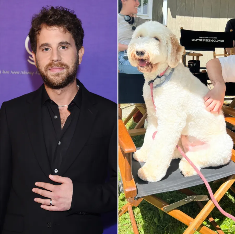 Ben Platt and dog Mr. Georgie