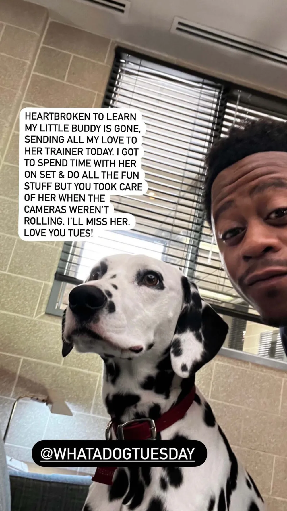 Chicago Fire Cast Heartbroken After Firehouse Dalmatian Tuesday Dies