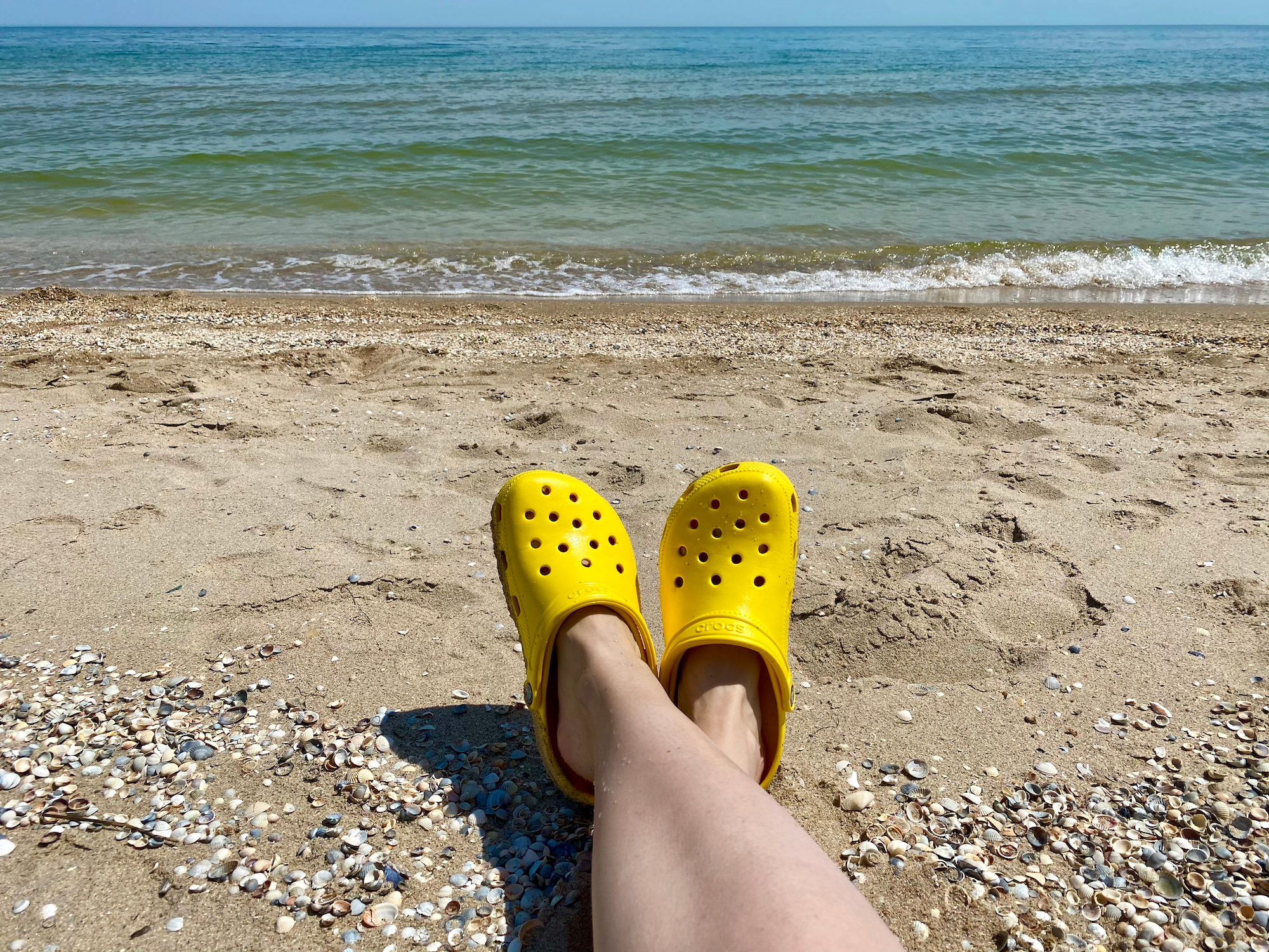 Croc-Clogs-Stock-Photo