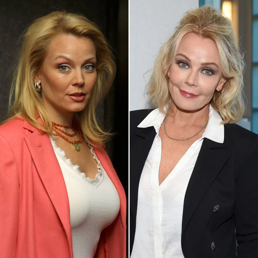 Gail O'Grady American Dreams Cast Where Are They Now