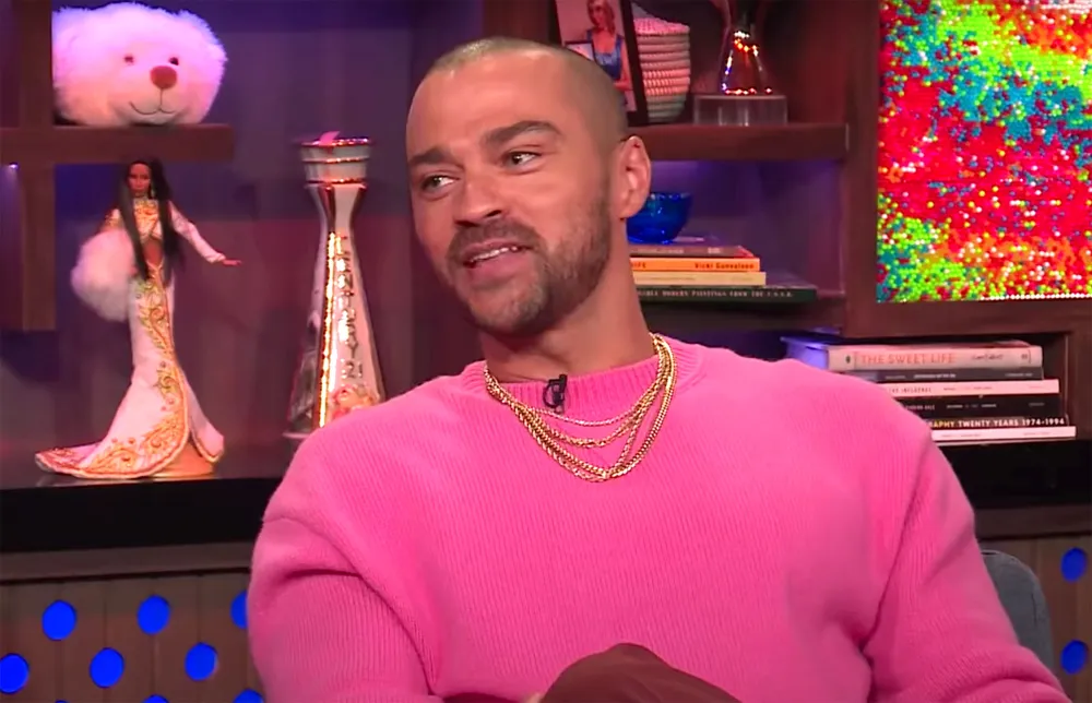 Grey's Anatomy's Jesse Williams Teases Jackson and April's Return 2