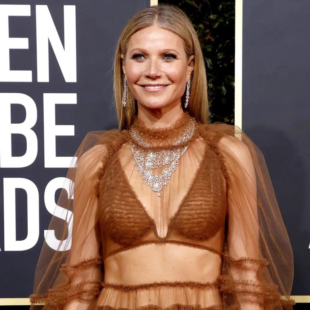 Gwyneth Paltrow Unveils &lsquo;The Diap&eacute;r: Goops $120 Disposable Diaper