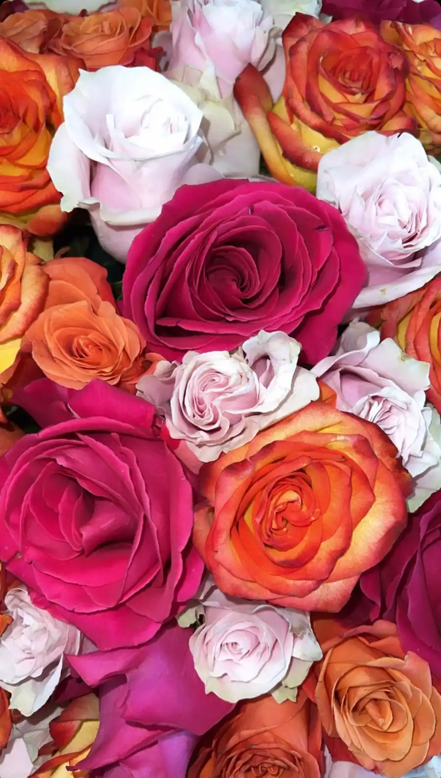 Khloe's Mother's Day Flowers