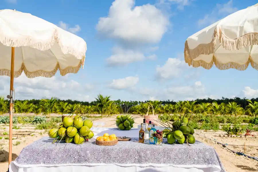 Atlantis Paradise Island Is a Celebrity Hot Spot! Take a Tour Inside the Gorgeous Resort