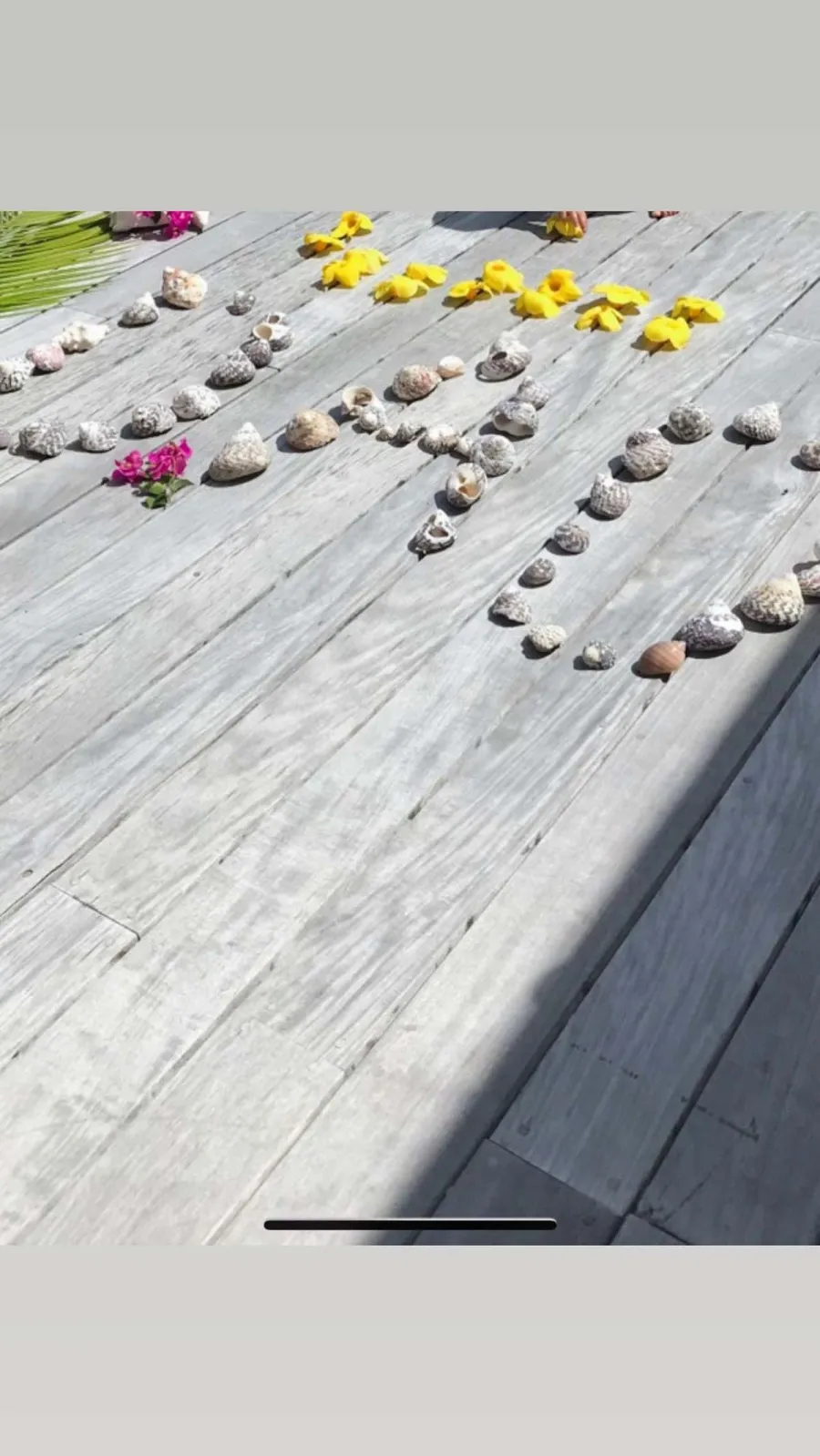 Kim Kardashian Kris Jenner More Honor Scott Disick His Birthday