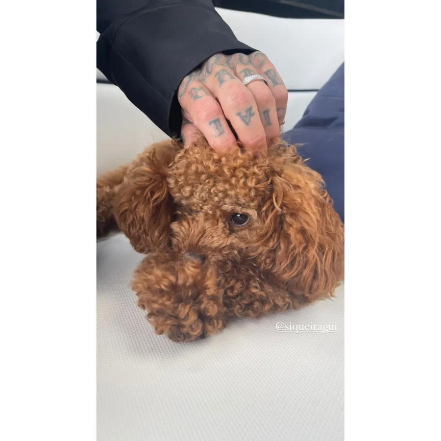 Kourtney Kardashian and Travis Barker's Italian Wedding: Photo Album