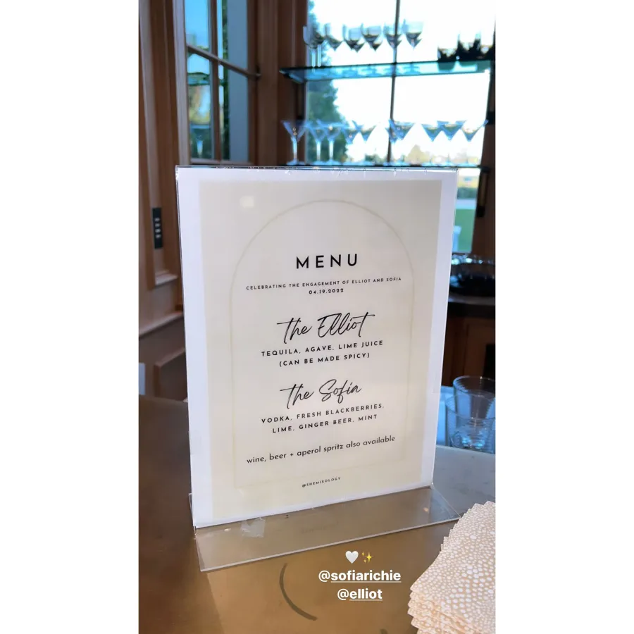 Sofia Richie Shares Photos From Her Dreamy Engagement Party to Elliot Grange