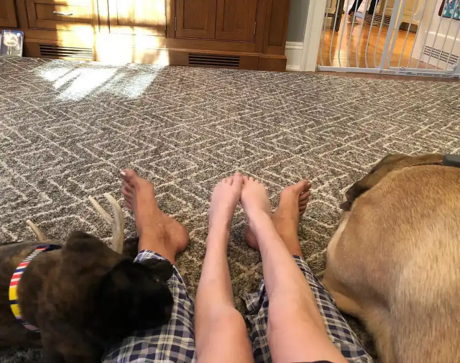 Stephanie McMahon and Paul 'Triple H' Levesque's Family Album With Daughters Aurora, Murphy and Vaughn: Photos