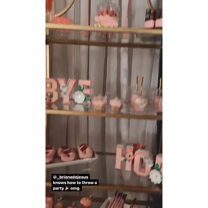 Teen Mom's Briana DeJesus Celebrates Kailyn Lowry Lawsuit Victory With Blowout Bash: Photos