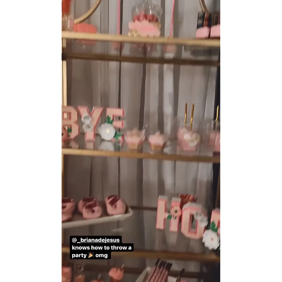 Teen Mom's Briana DeJesus Celebrates Kailyn Lowry Lawsuit Victory With Blowout Bash: Photos