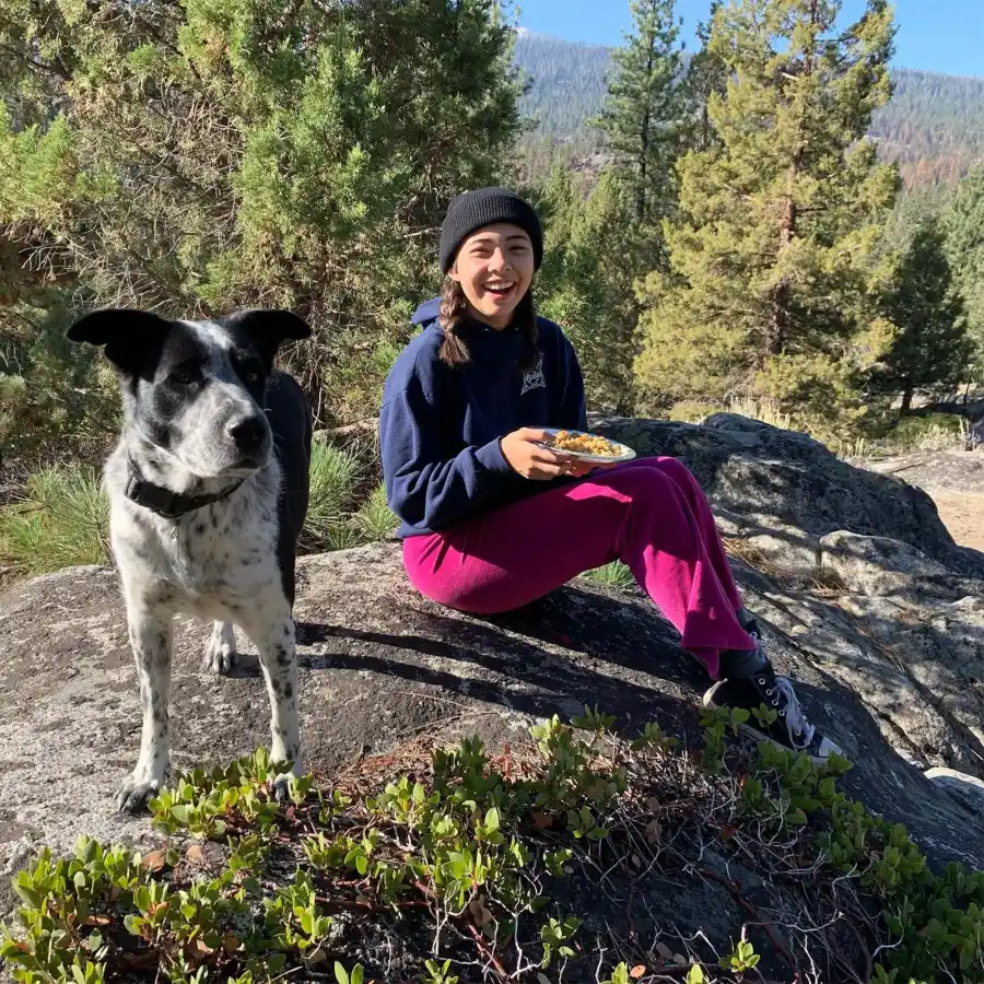 Tom Holland Marvel Stars and Their Beloved Pets