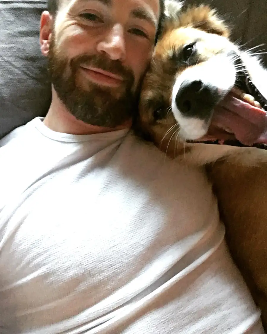 Hottest Celebrity Hunks Cuddling With Their Cutest Pet Puppies