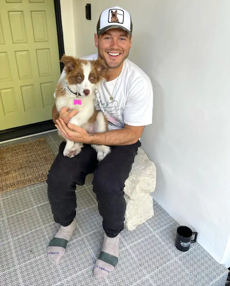 Hottest Celebrity Hunks Cuddling With Their Cutest Pet Puppies