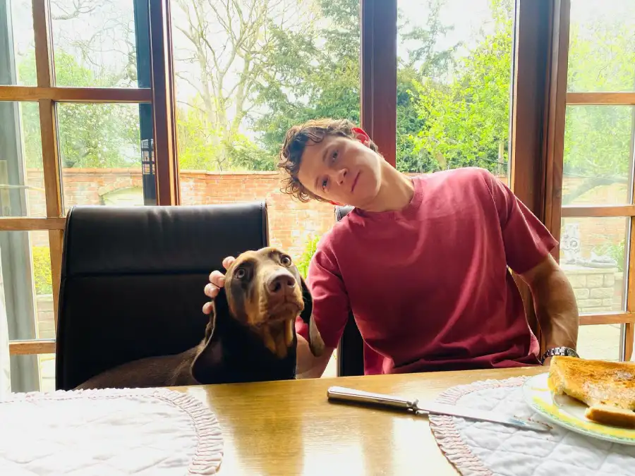 Hottest Celebrity Hunks Cuddling With Their Cutest Pet Puppies