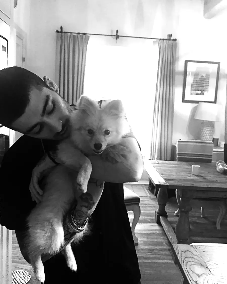 Hottest Celebrity Hunks Cuddling With Their Cutest Pet Puppies