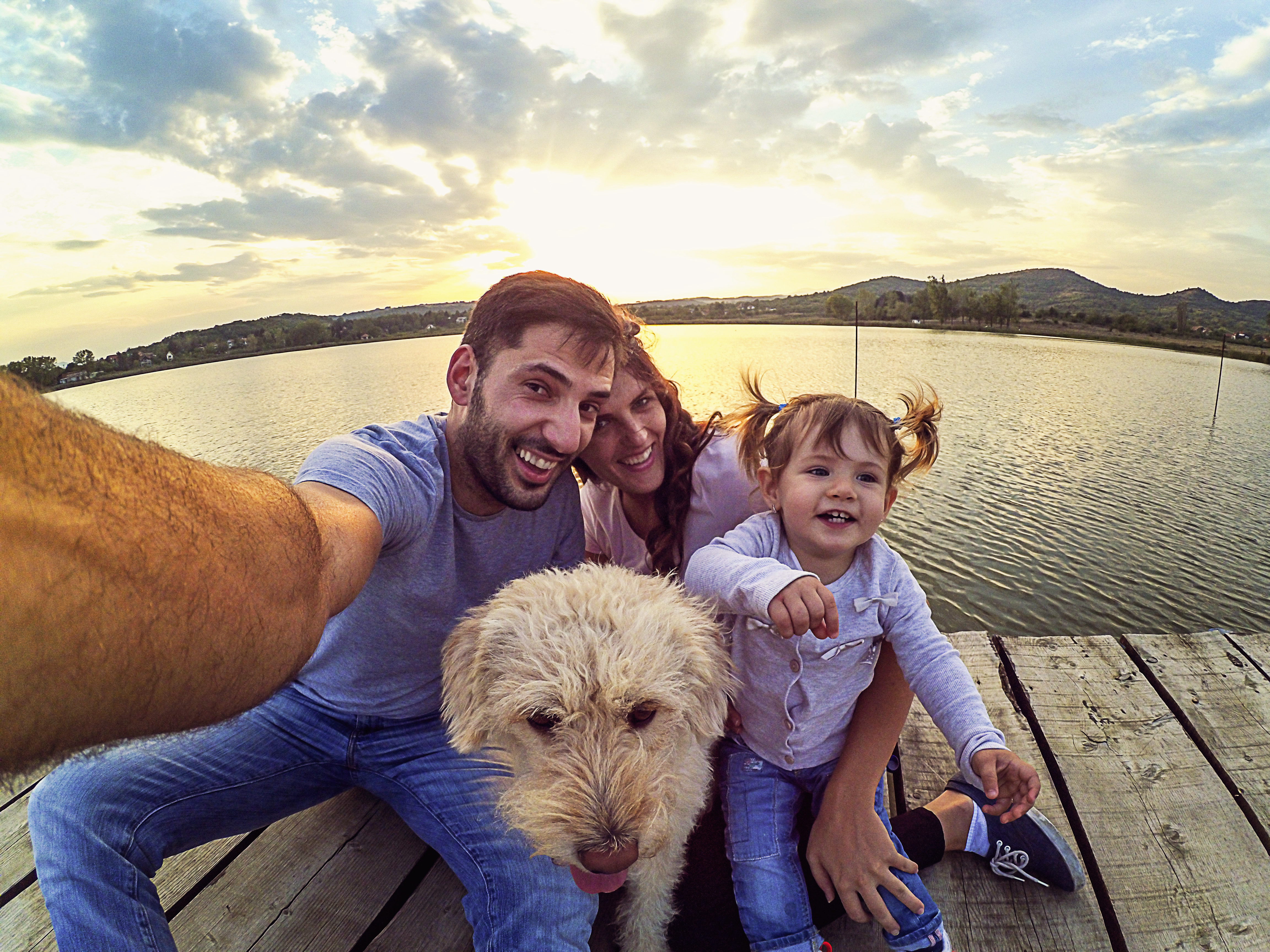 family-dog-insurance