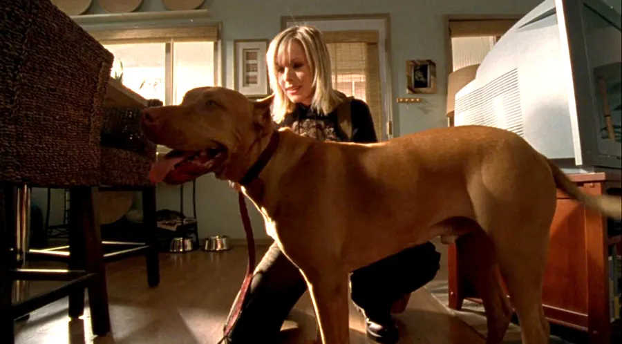 TV Shows' Beloved Pets Through the Years: Photos