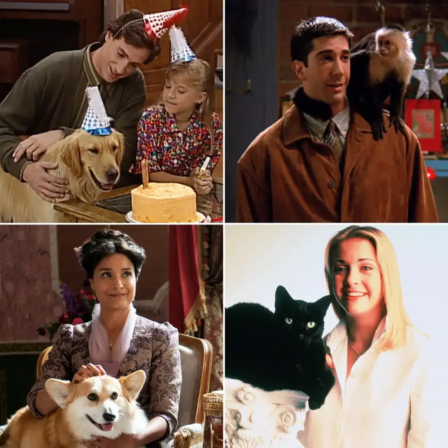 TV Shows' Beloved Pets Through the Years: Photos