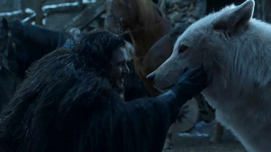 TV Shows' Beloved Pets Through the Years: Photos