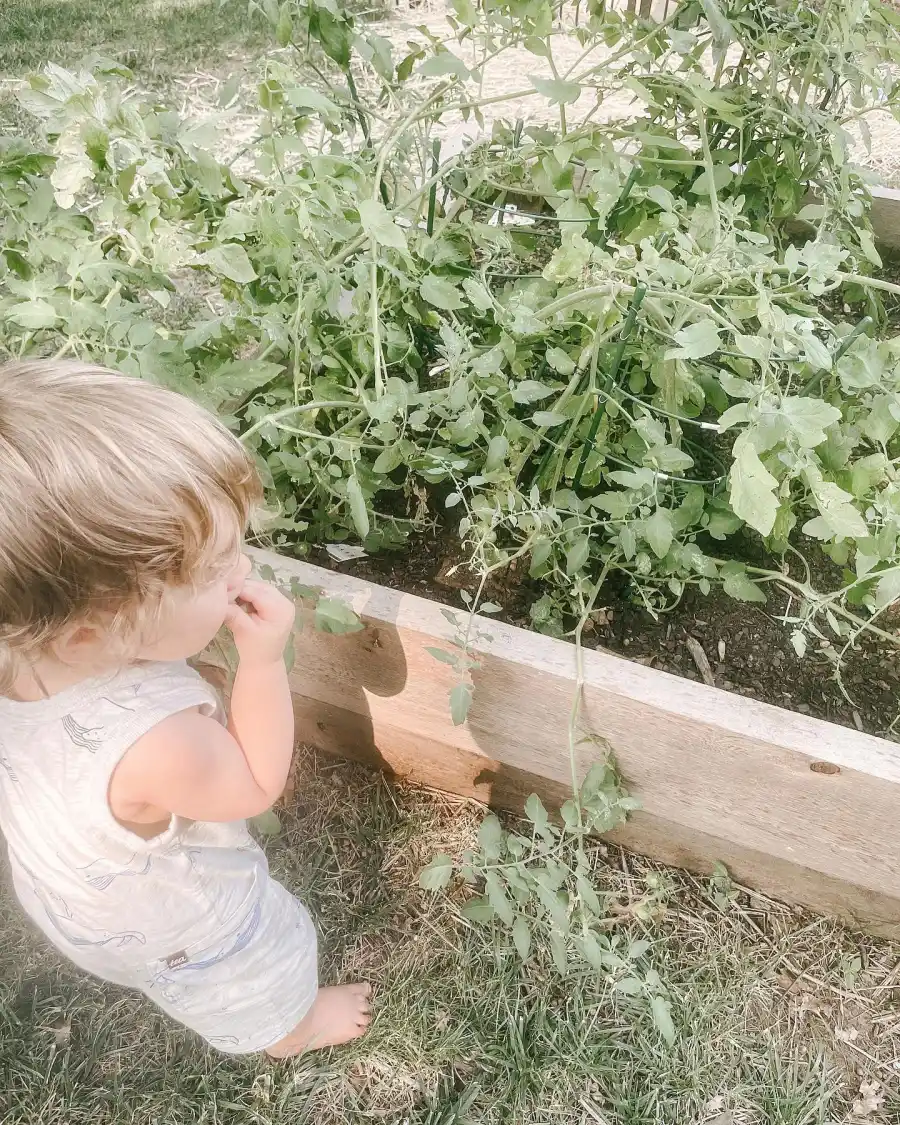 Cowboy Cuties Meet Kids Country Music Biggest Stars Maren Morris