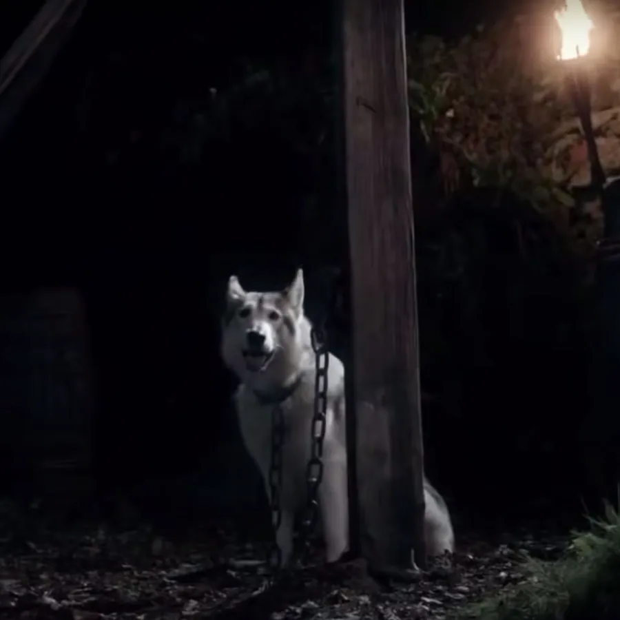 Pass Tissues The Saddest TV Pet Deaths All Time