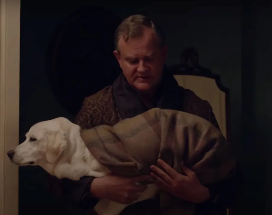 Pass Tissues The Saddest TV Pet Deaths All Time