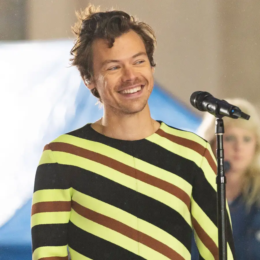 Stars Who Refuse Label Their Sexuality Harry Styles