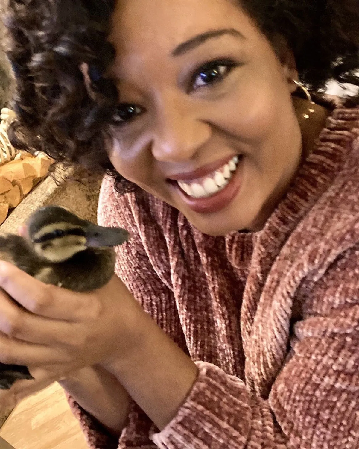 Venus DeMilo Salute Your Shorts