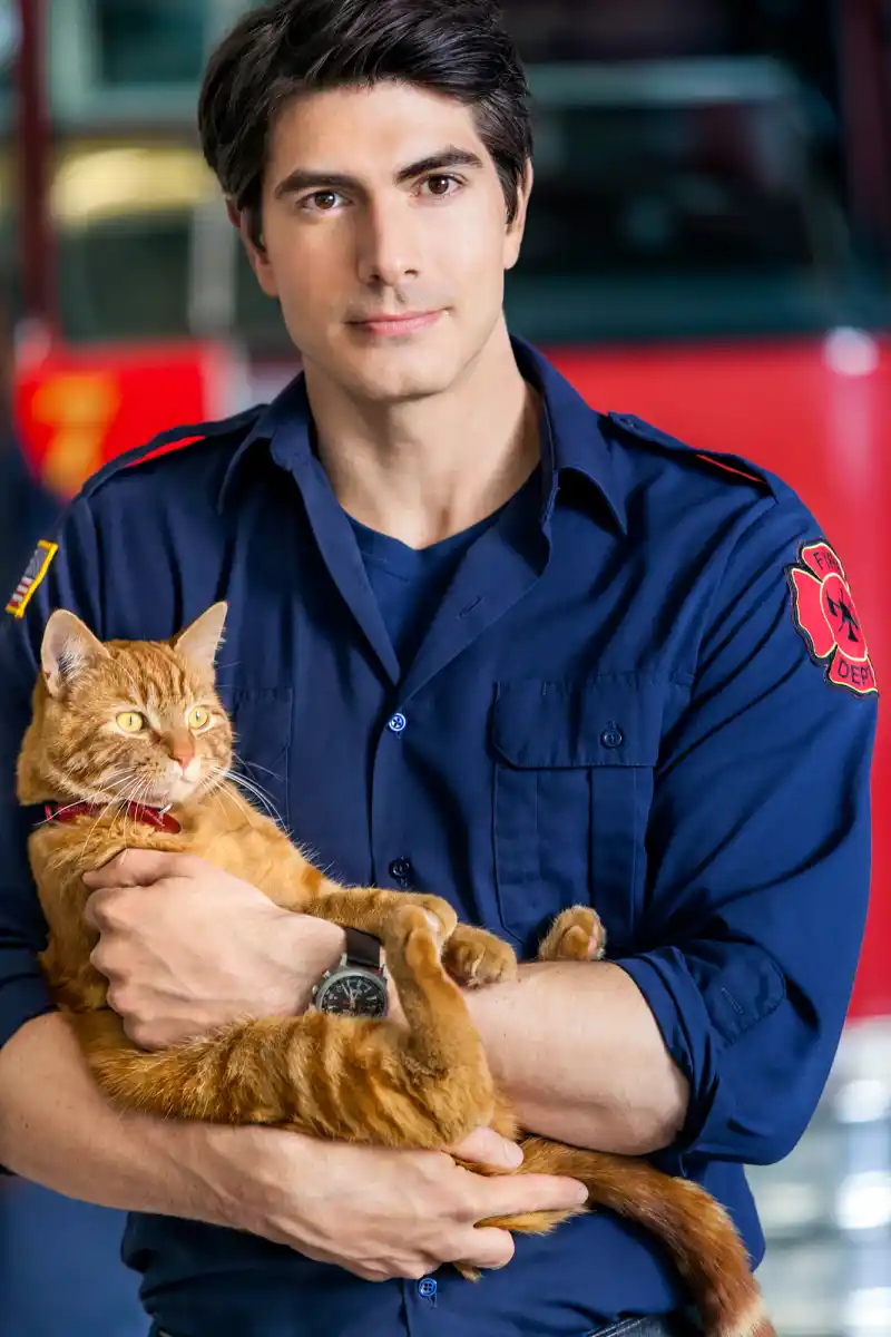 Who Is Hallmark Channel’s Brandon Routh? 6 Things to Know About ‘The Nine Lives of Christmas’ Hunk