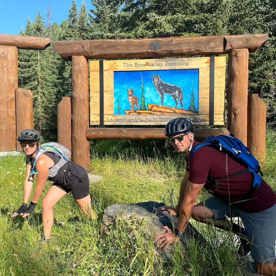 Who Is Hallmark Channels Luke Macfarlane 5 Things About Moriahs Lighthouse Star