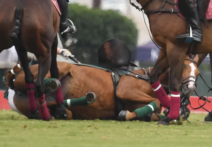 Yikes Prince Harry Falls Off His Horse During Polo Match Pics