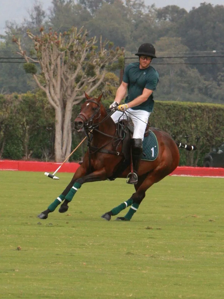 Yikes Prince Harry Falls Off His Horse During Polo Match Pics