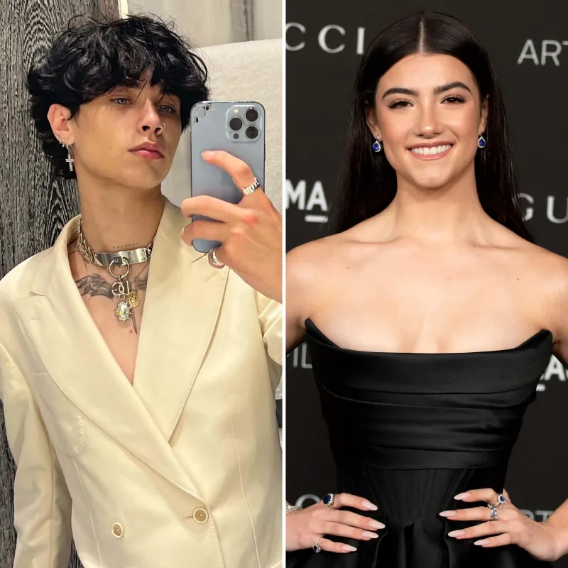 Charli D’Amelio Landon Barkers Relationship Timeline