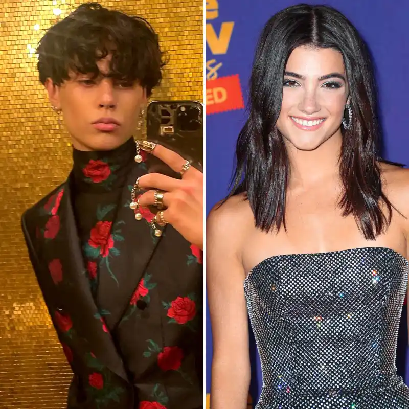 Charli D’Amelio Landon Barkers Relationship Timeline