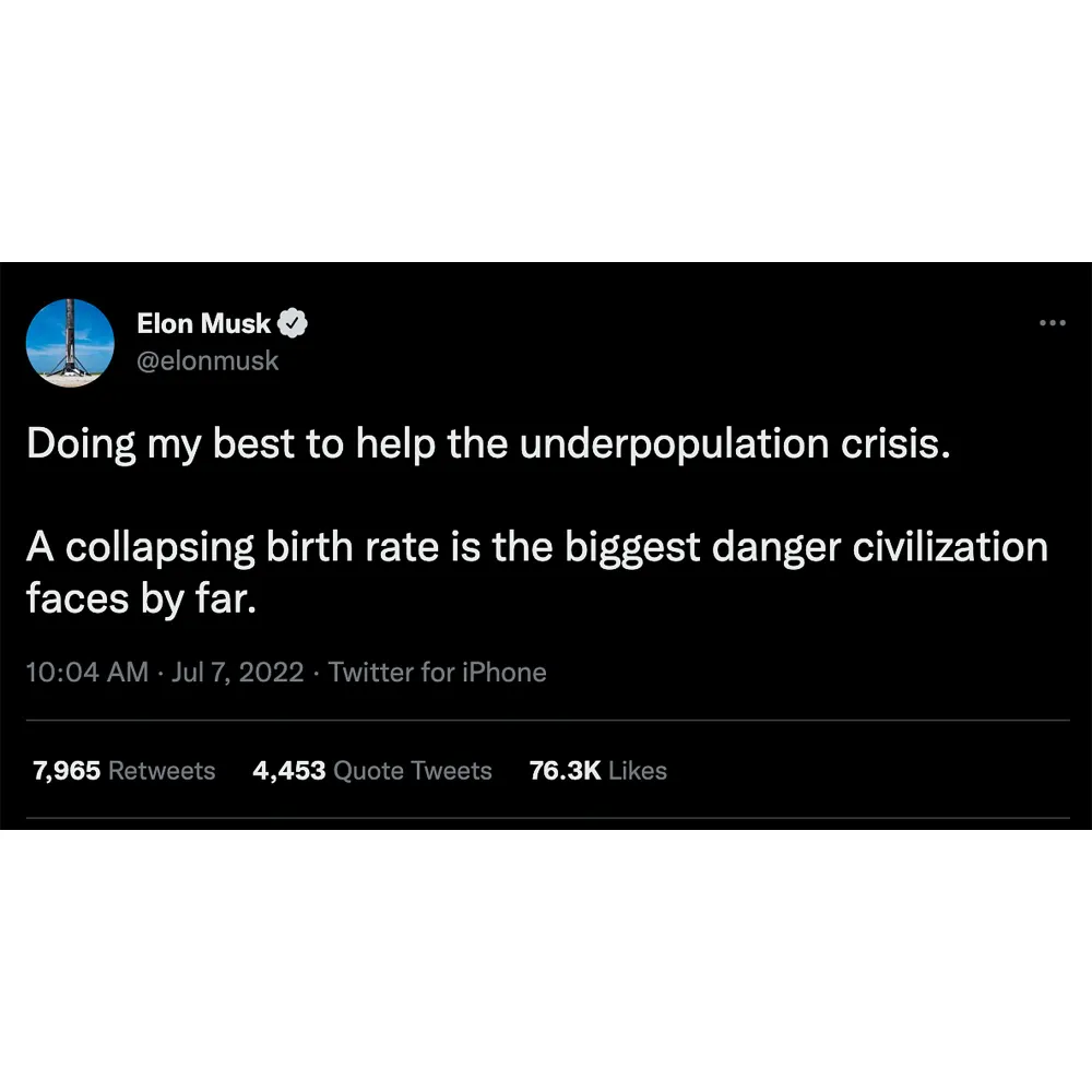 Elon Musk Seemingly Confirms Birth of Twins