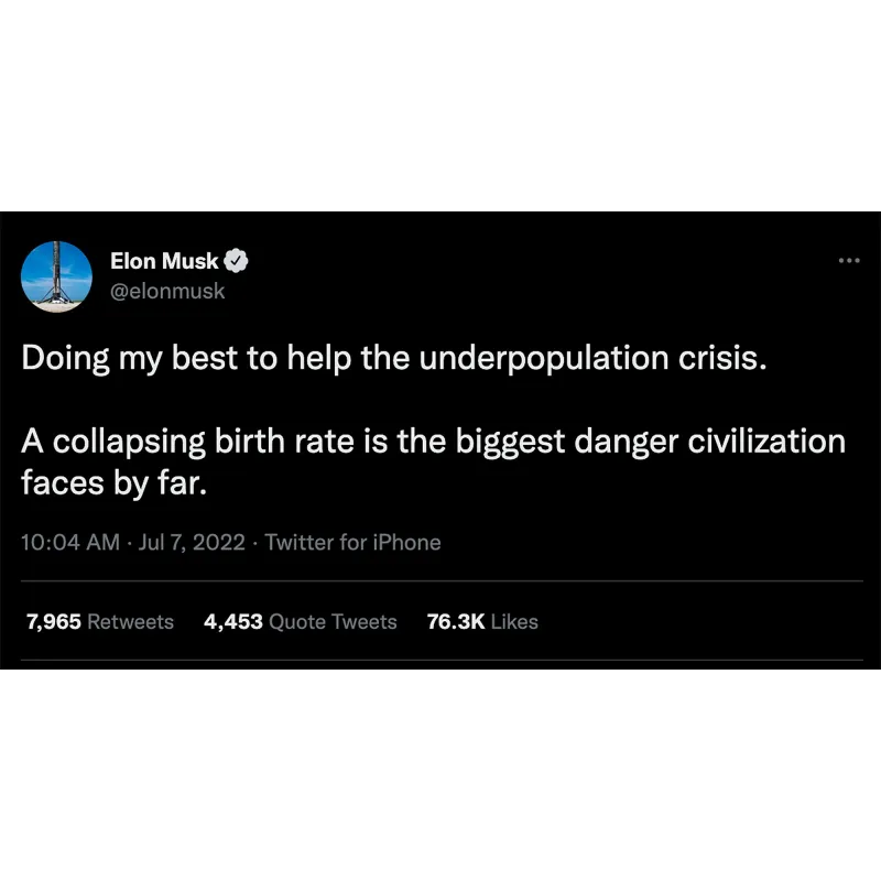 Elon Musk Seemingly Confirms Birth of Twins