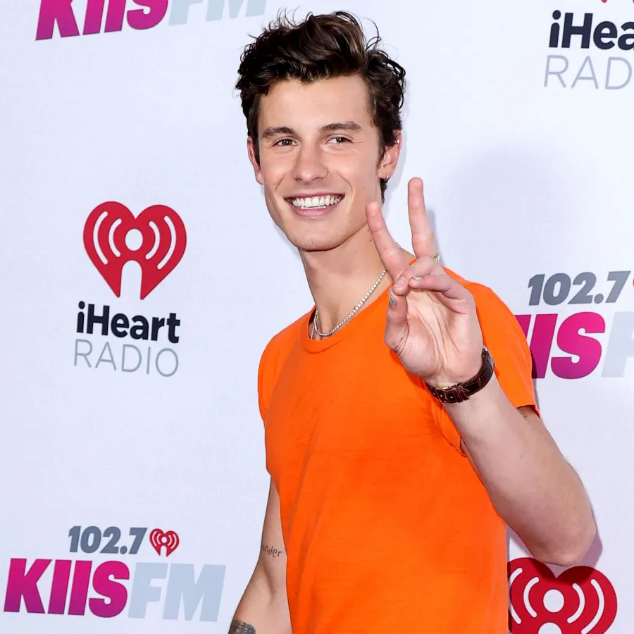 Everything Shawn Mendes Has Said About His Mental Health Battle