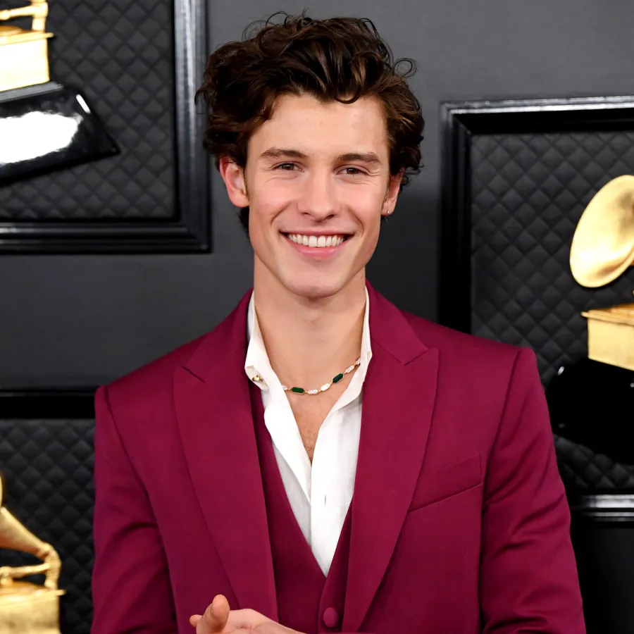 Everything Shawn Mendes Has Said About His Mental Health Battle