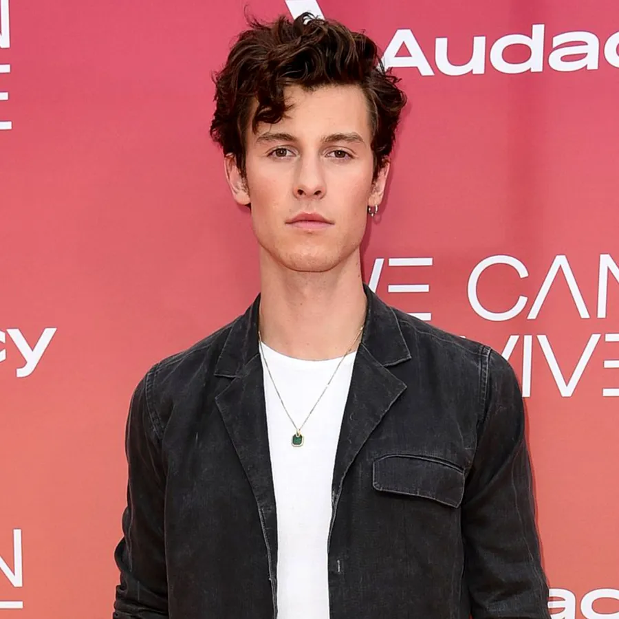 Everything Shawn Mendes Has Said About His Mental Health Battle