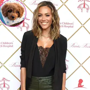 Jana Kramer Jokes She Has a 'New Man in My Life' After Ian Schnilli Split — Her Puppy!