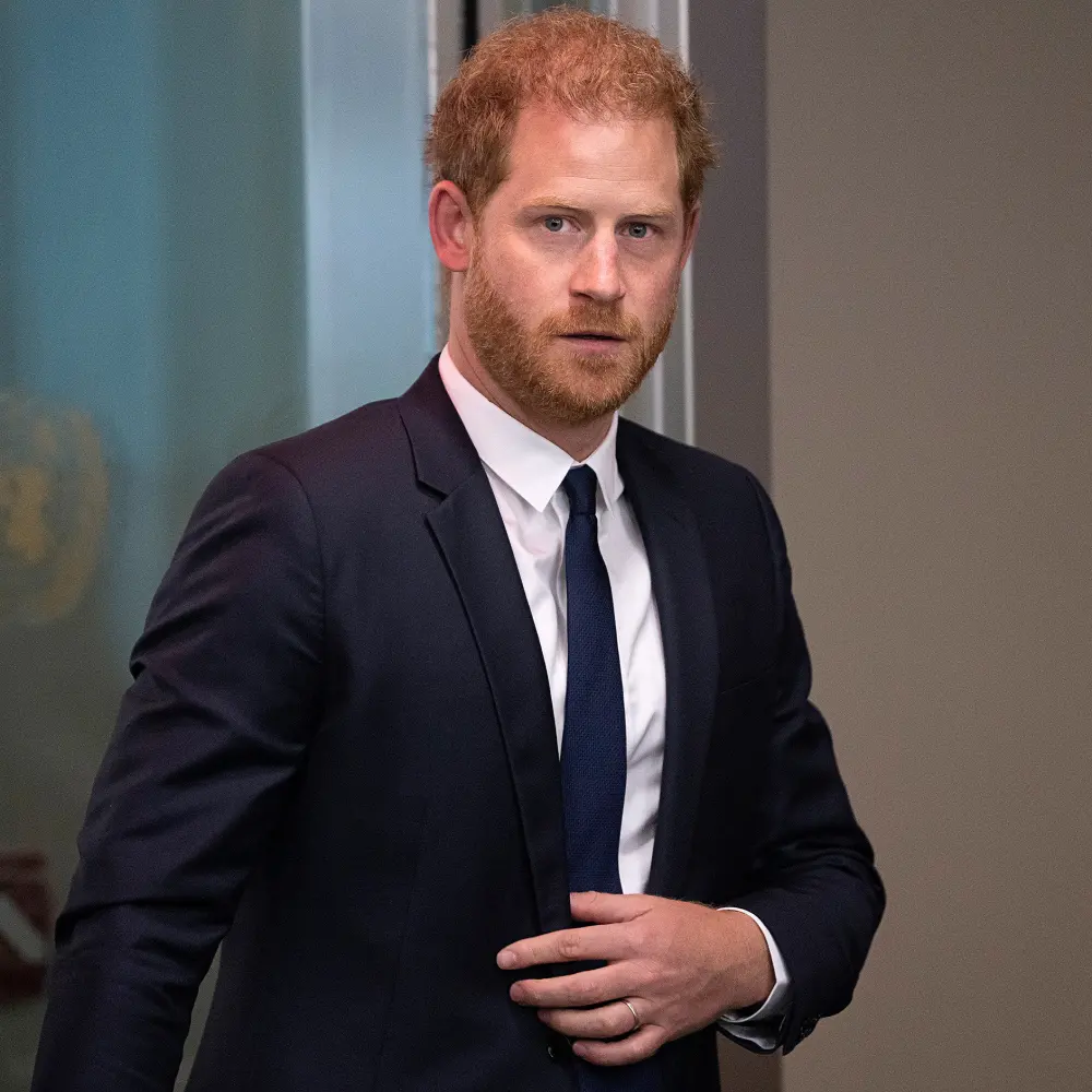Prince Harry Is Not &lsquo;Qualified&rsquo; to Speak at the United Nations, Royal Expert Jonathan Sacerdoti Claims