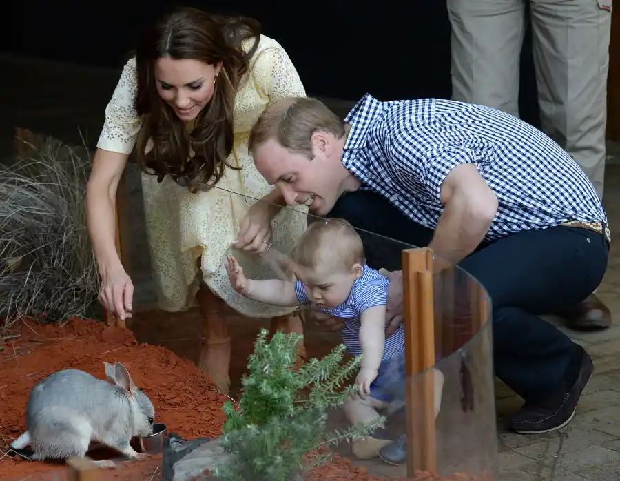 Prince William's Funniest Quotes bilby