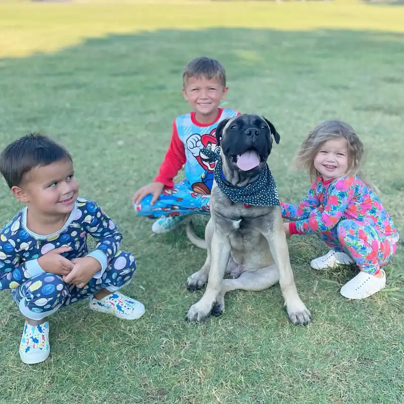 Sean Lowe and Catherine Giudici's Family Album