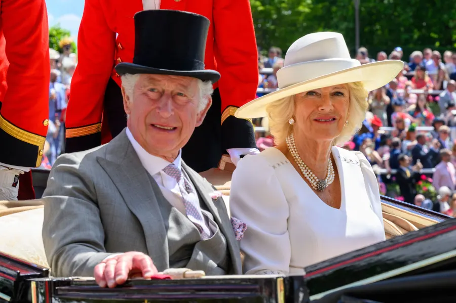 What Will Duchess Camilla's Queen Consort Role Entail? Everything She's Said About Her Royal Future